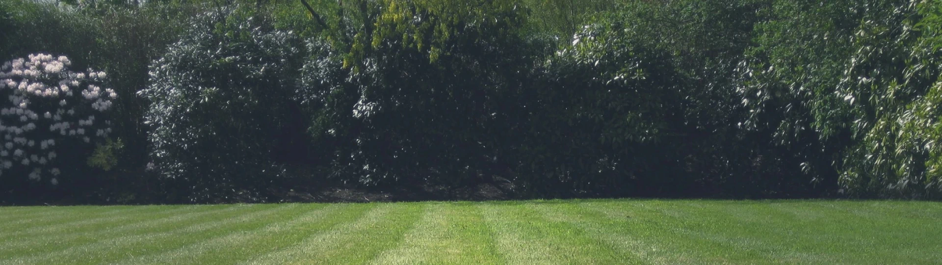Commercial Landscaping breadcrumb