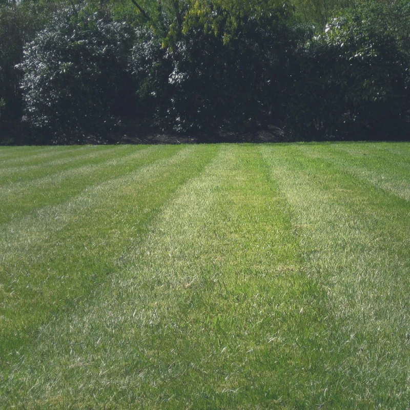 Commercial Landscaping
