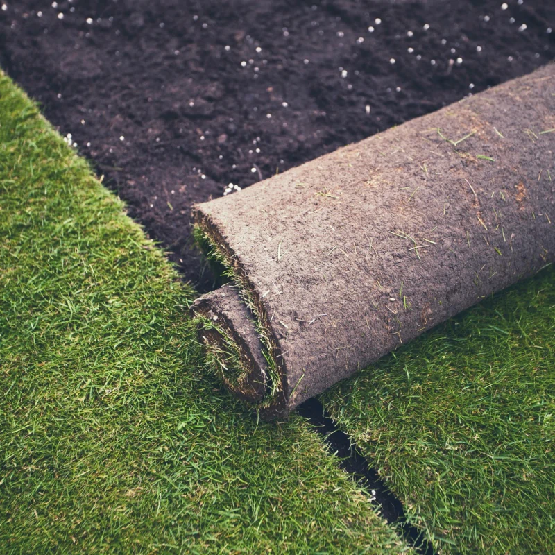 Landscape Installation
