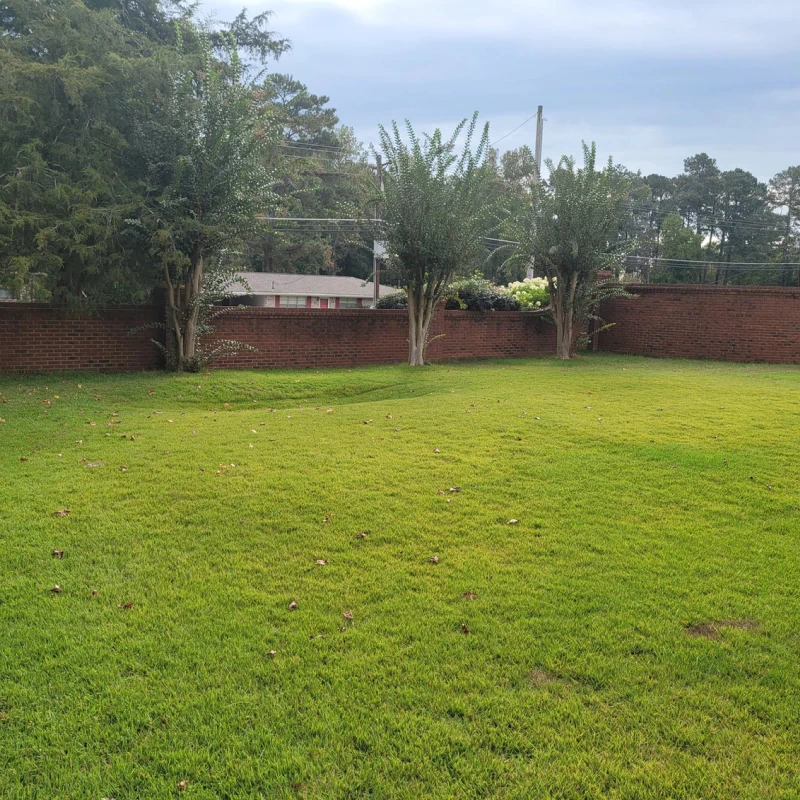 Lawn Care & Maintenance