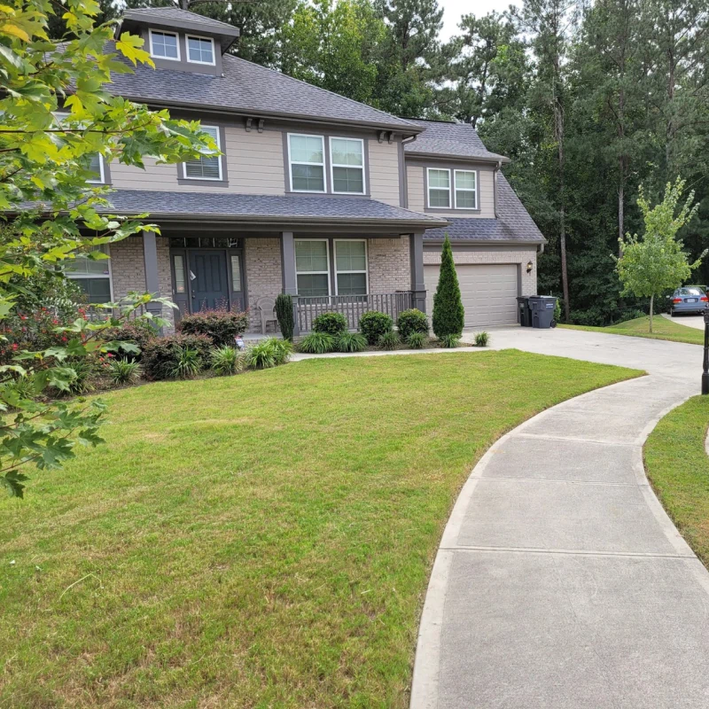 Lawn Renovation